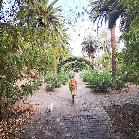 Home2book Vibrant & Trendy Cruz Center Appartement